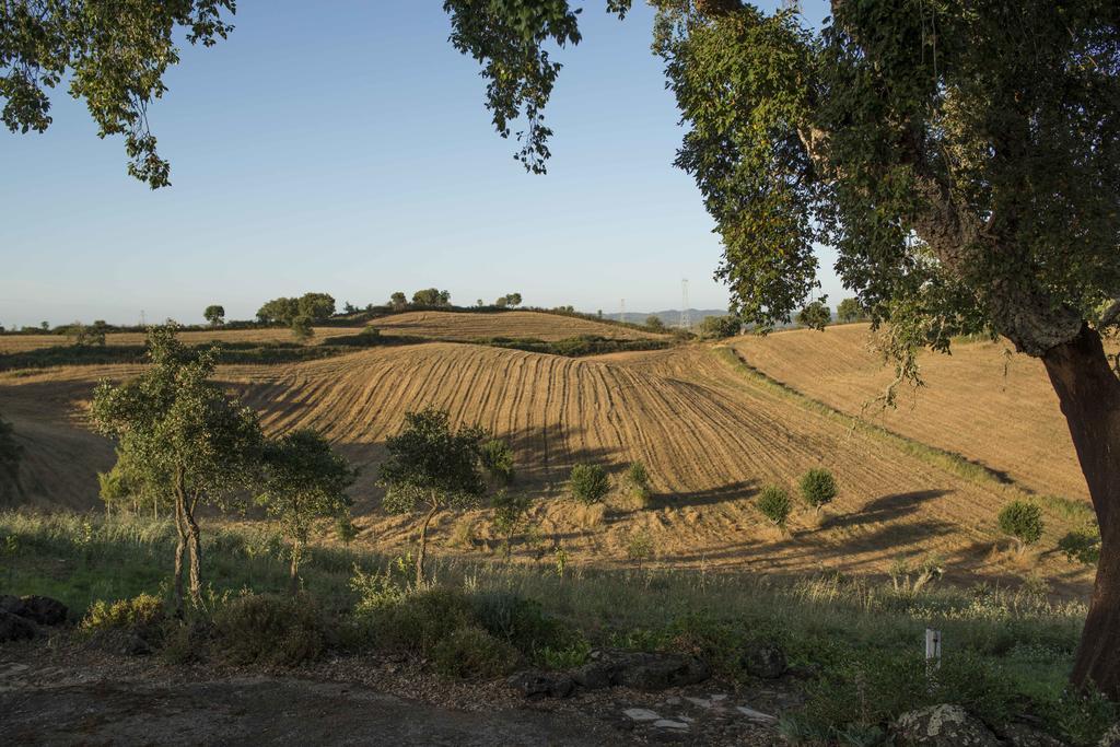 Maison d'hôtes Monte Pedras Negras à São Luis Extérieur photo